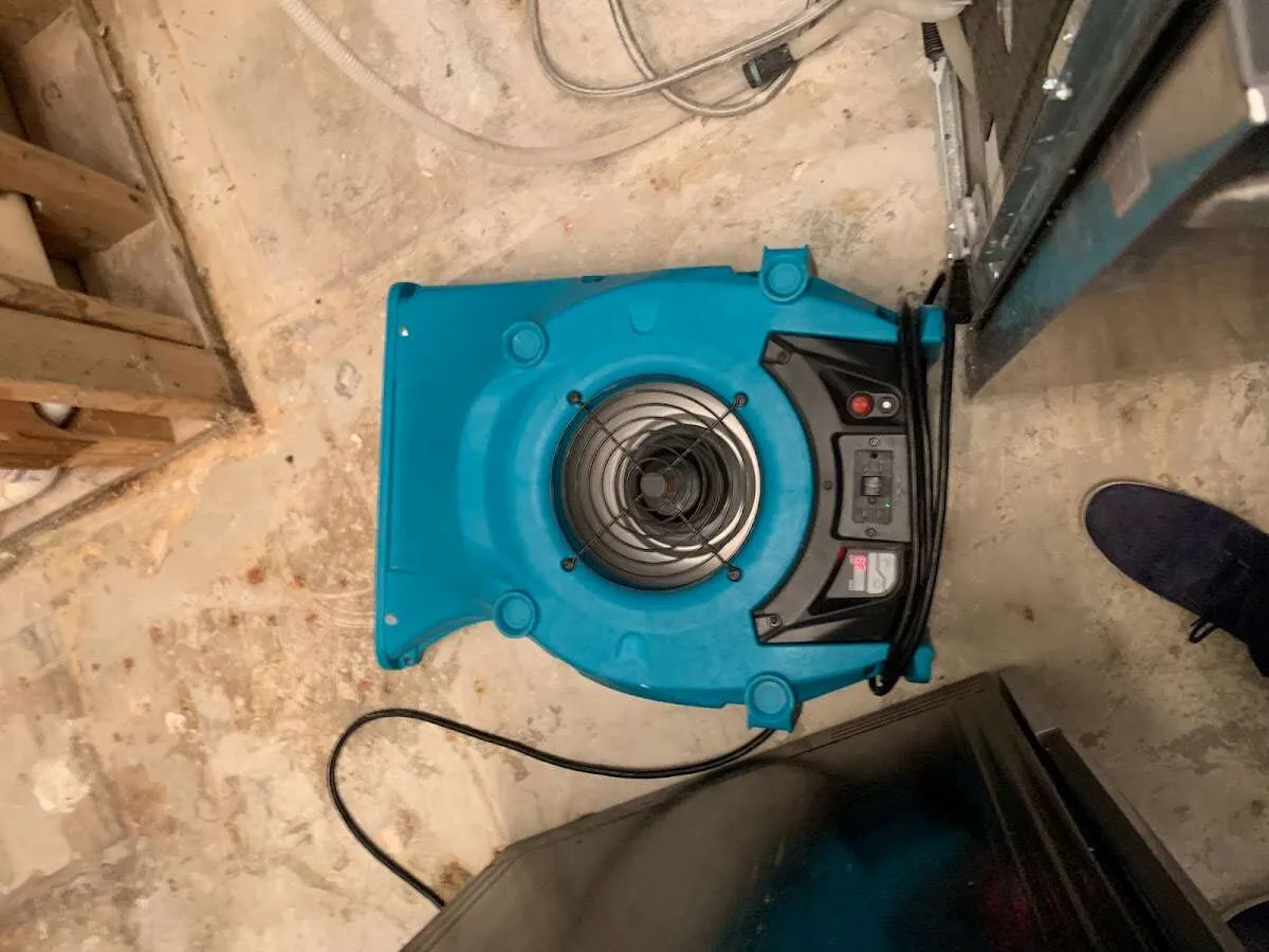 Air mover drying equipment for Mold Remediation & Removal in Keokuk
